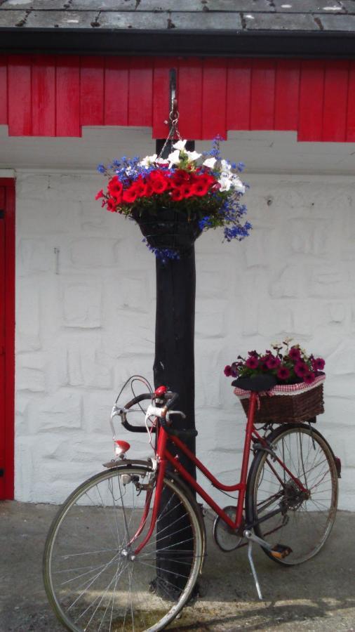 Cummins Cottages Ballycrossaun 외부 사진