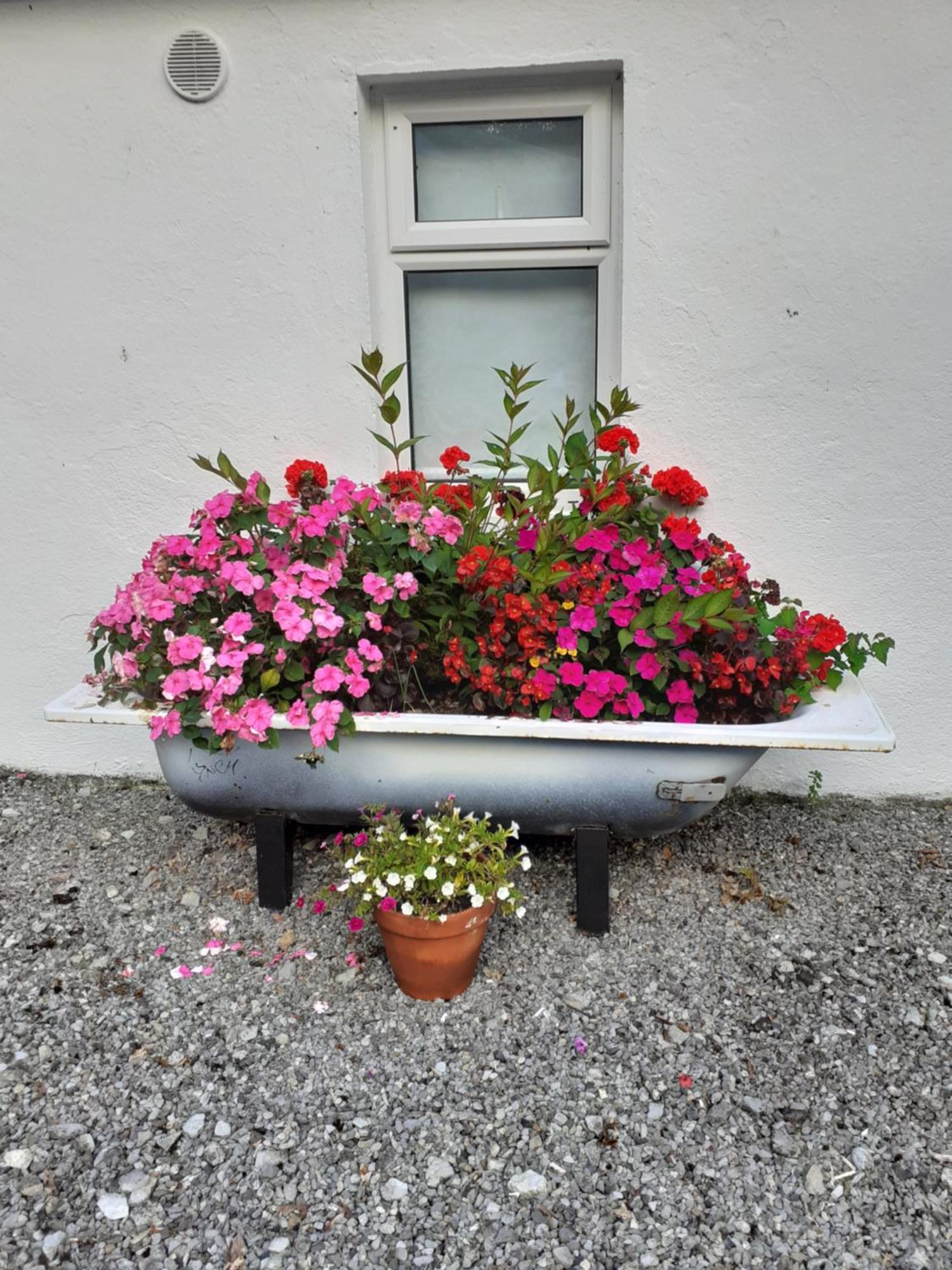 Cummins Cottages Ballycrossaun 외부 사진