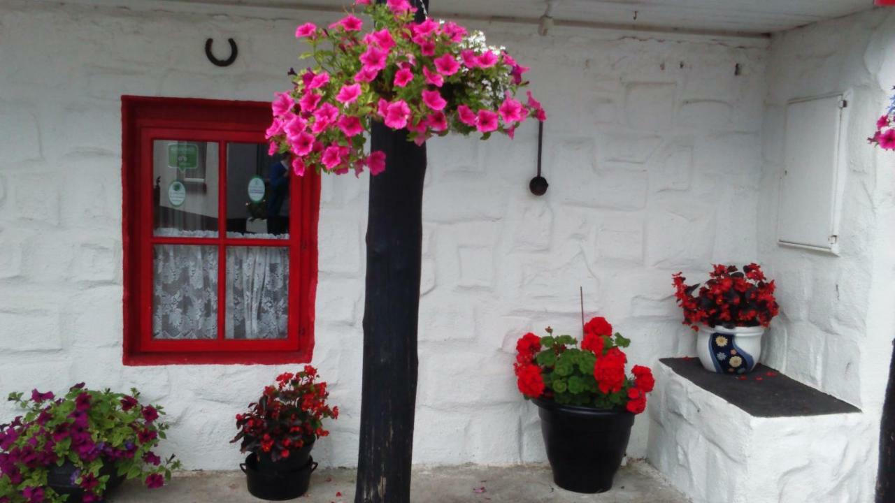 Cummins Cottages Ballycrossaun 외부 사진